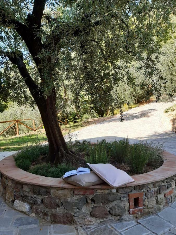 Agriturismo Fonteregia Монтекатини Терме Екстериор снимка